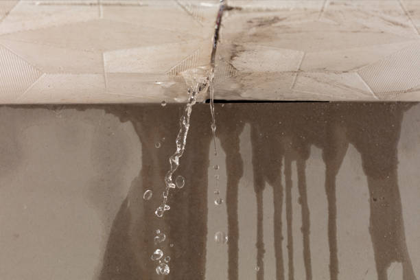 Professional Water Damage Restoration technician working in Elora, TN